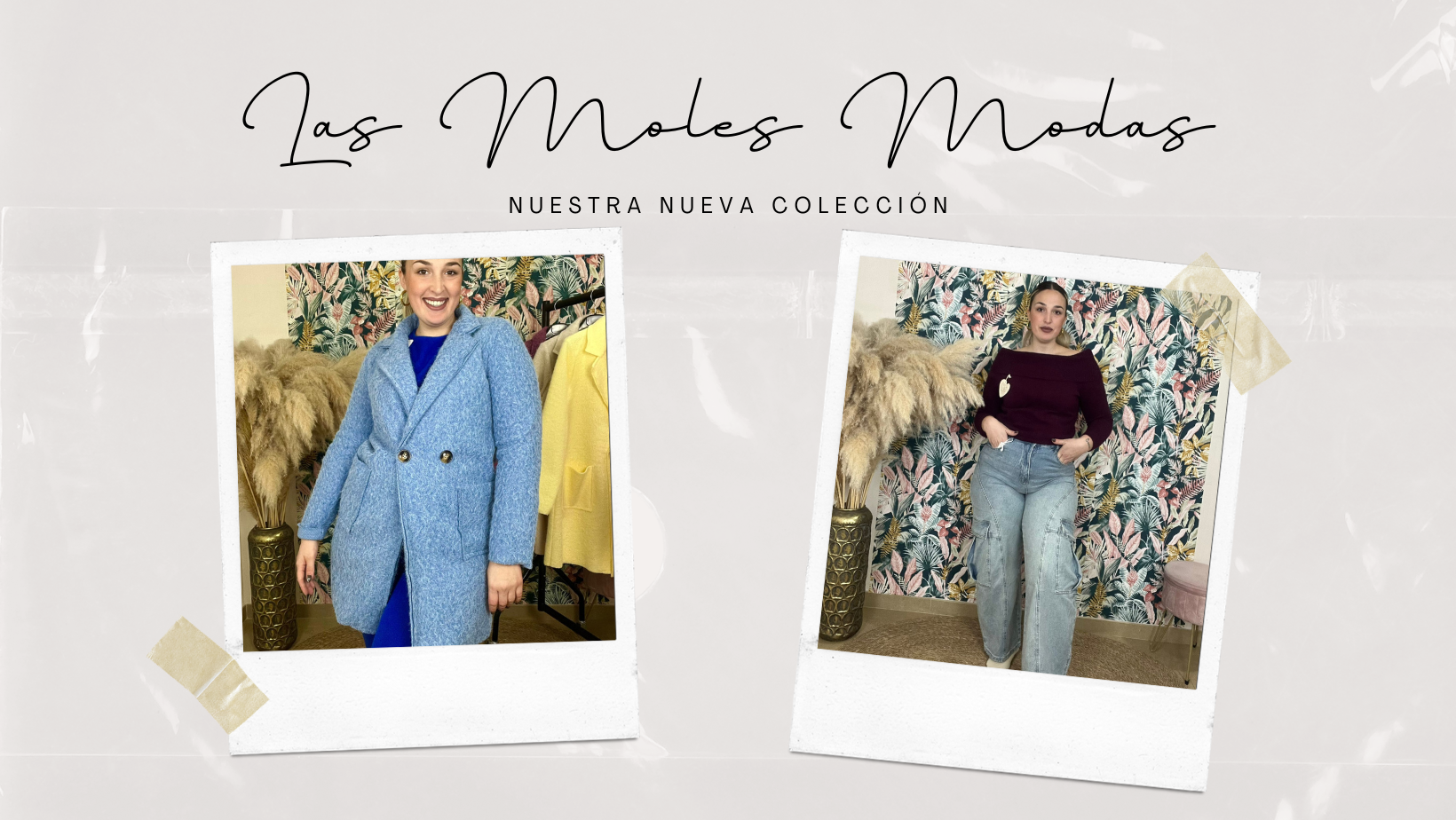 las moles modas diseño frontal web